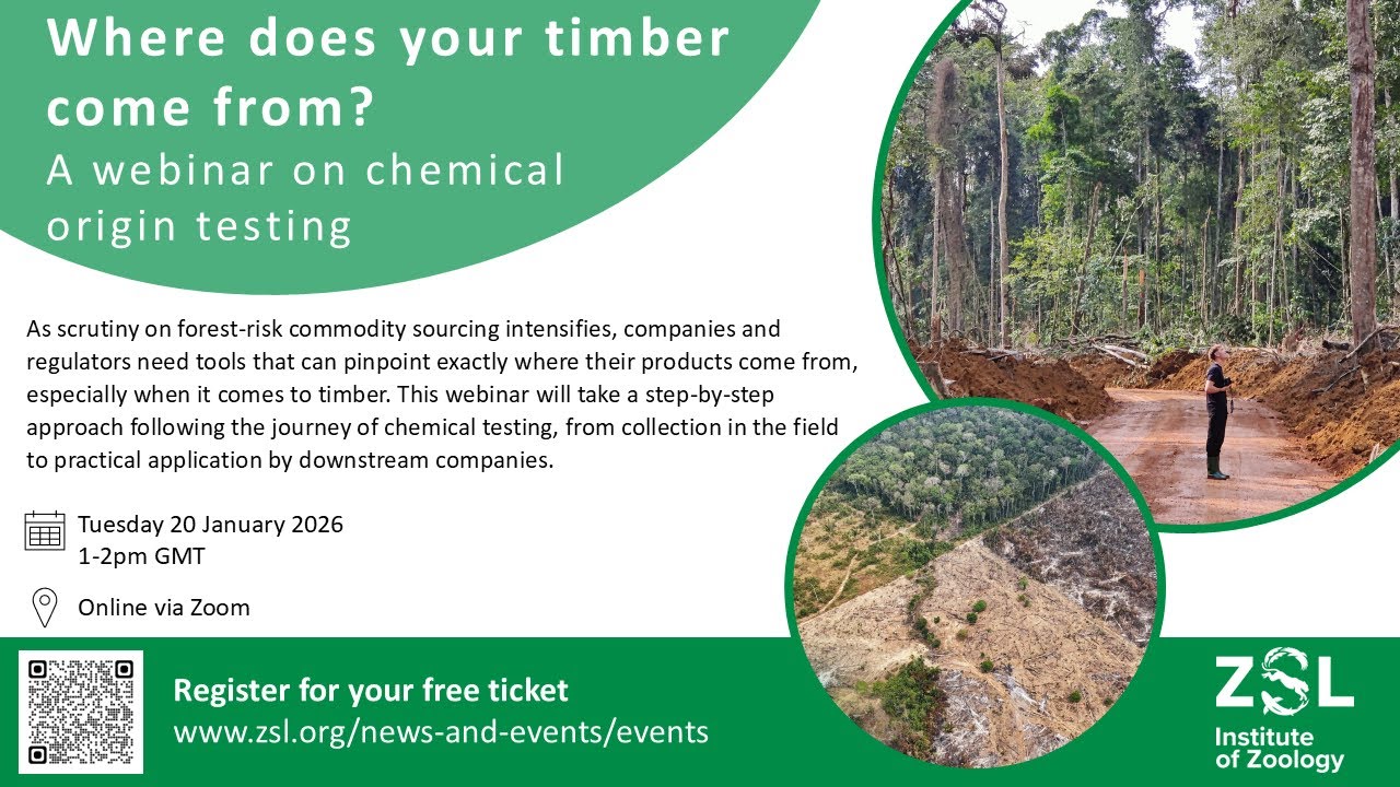 Webinar: Where does your timber come from?