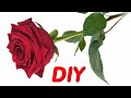 Какой вариант Вам нравится больше? Красивые РОЗЫ из бумаги ЛЕГКО, ПРОСТО. Corrugated Paper Roses.DIY