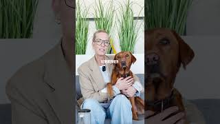 DAS solltest Du mit Zecken wirklich tun! ⚠️🕷️ #hundegesundheit