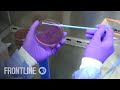 The Trouble with Antibiotics TRAILER | FRONTLINE