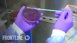 The Trouble with Antibiotics TRAILER | FRONTLINE