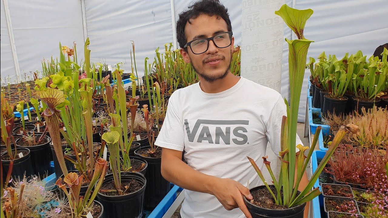 Plantas carnívoras : La ruta carnívora Vol. 9 - Jhovany My Lee Parte 1