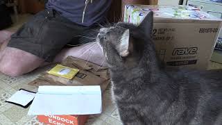 September 2024 Mailbag / Behind The Scenes