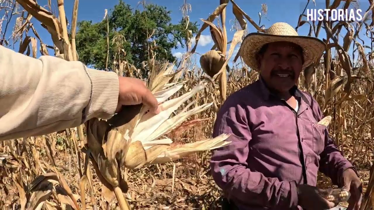 SOY CAMPESINO TODA MI VIDA E TRABAJADO EN EL CAMPO .