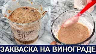 🥖🍞🥨 Закваска на винограде - Неубиваемая и стойкая Неприхотливая и сильная Как вывести закваску Хлеб