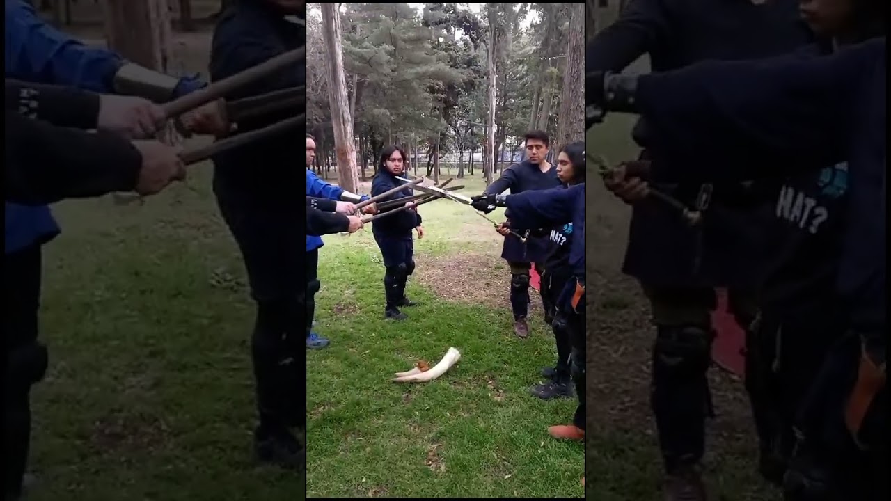 Únete a Ormbitur México 1er ESCUELA de Combate Vikingo Histórico este 2024!