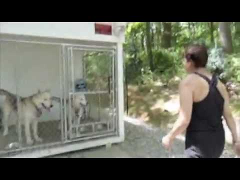 JJ Loy: Dog Training - www.jjLoy.com ... Silvia an...