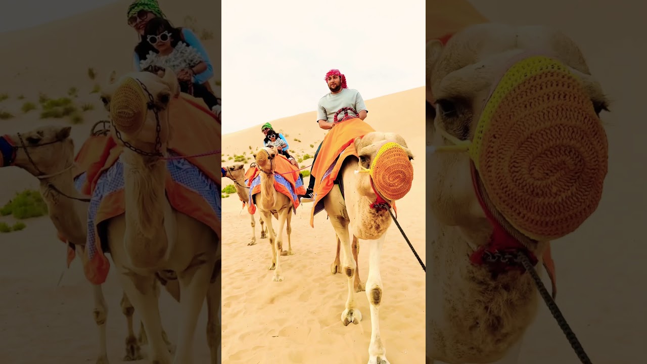 Camel ride at desert 
