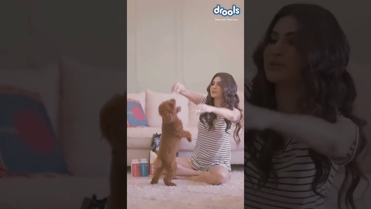 Mouni Roy play Her dog🥰☺️Mouni Roy New video status ☺️🥰
