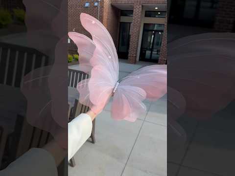 آموزش کامل ساخت پروانه ابریشمی غول پیکر در کانال من