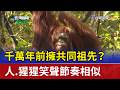千萬年前擁共同祖先？ 人.猩猩笑聲節奏相似