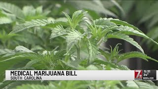 SC Senate debate over medical marijuana set for next week