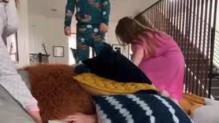 Daddy Jensen Ackles and Zeppelin Bram  Ackles  😂🤣😂