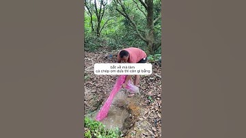 Anh trai bắt cá trong rừng sâu #shorts