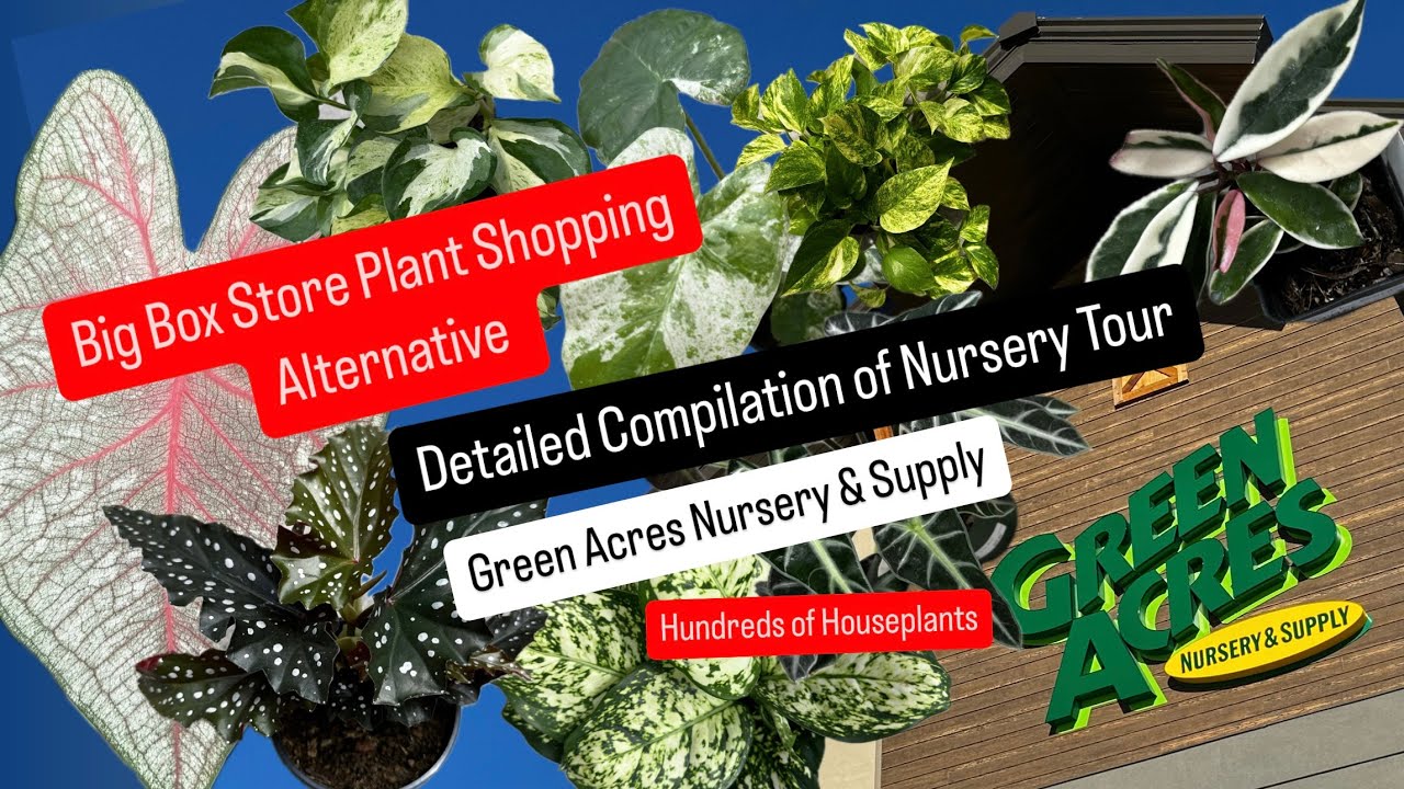 Big Box Store Plant Shopping Alternative Compilation of Green Acres Nursery & Supply Plant Nursery
