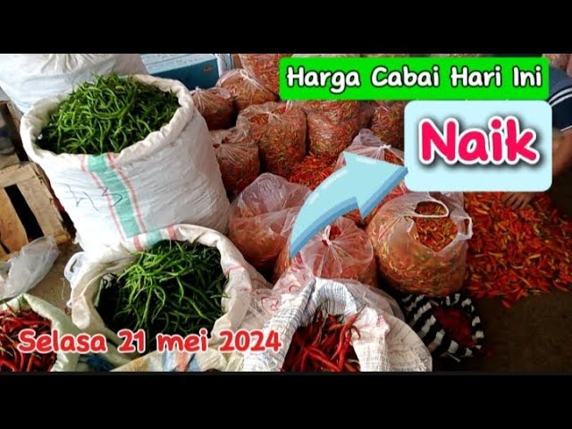 Harga sayur dan bawang serta cabai hari ini naik dipasar induk sukomoro nganjuk class=