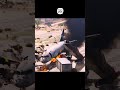 HARD Landing A320 Crash