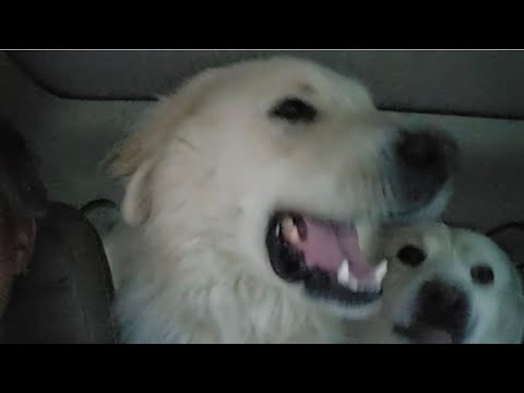 Shayla And Tucker Head North Tonight 11 22 25