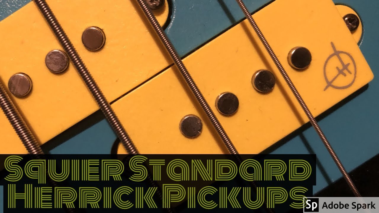 Squier Standard Bass Herrick Pickup Upgrade YouTube