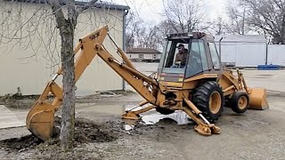 Digging Out A Tree With A Backhoe