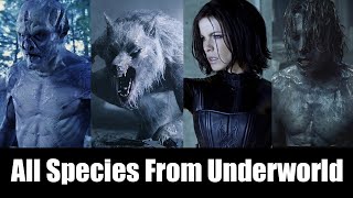 All The Species Of The Underworld Movies