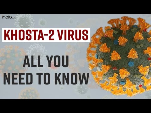 Khosta-2 Virus: Scientists
