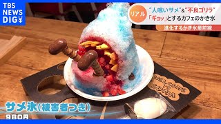 “サメ”に“ゴリラ”!?「リアルすぎる」かき氷の最新事情｜TBS NEWS DIG