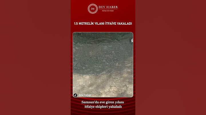 Samsun'da eve giren yılanı itfaiye ekipleri yakaladı