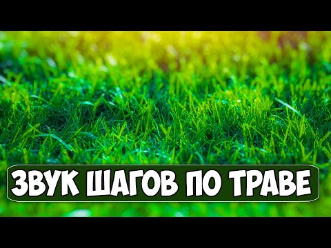 Звук шагов человека по траве. Шуршание травы во время ходьбы слушать