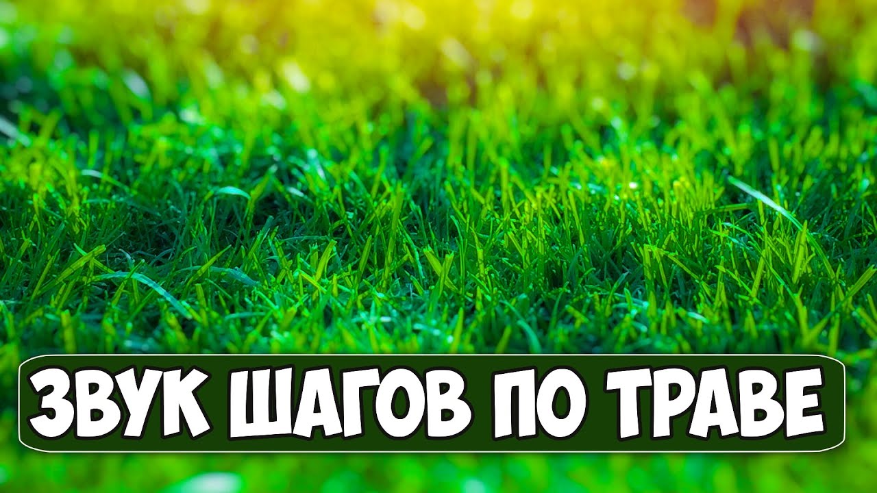 Звук шагов человека по траве. Шуршание травы во время ходьбы слушать ...