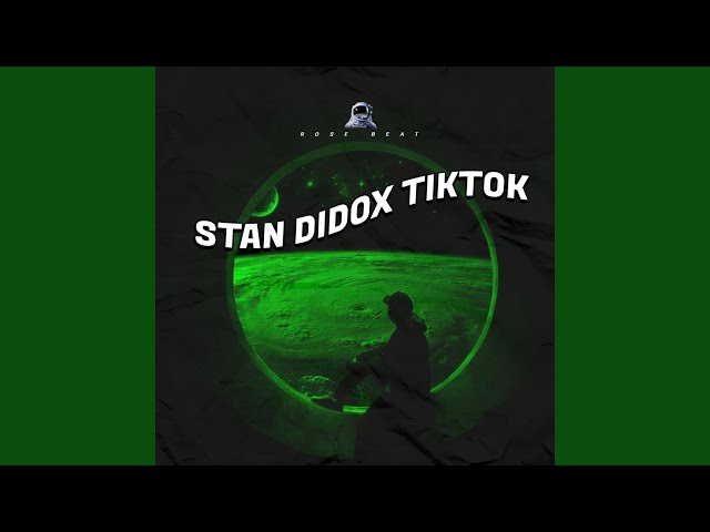 Stan Didox TikTok (Remix) class=