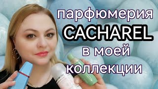 ПАРФЮМЕРИЯ БРЕНДА CACHAREL В МОЕЙ КОЛЕКЦИИ💓