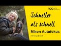 Atemberaubende Hundeportraits - Nikon Tieraugen-AF | Online Fototage Foto Koch