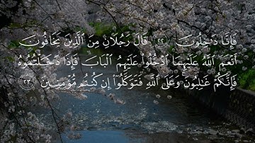 سورة المائدة. قرأن كريم بصوت جميل جدا جدا #قران_كريم #ماهر_المعيقلي #سورة_المائدة
