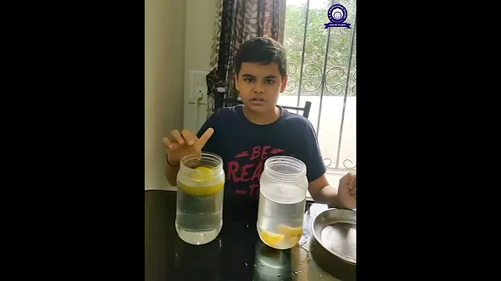 Why do whole oranges float, but peeled oranges sink? explained by Mst. Dhruv Dhamecha (Std-8)