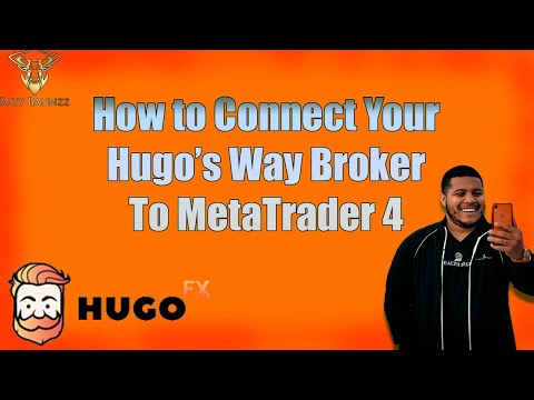 How to Connect Hugo's Way to MetaTrader 4 app
