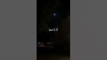تلاوة تمتاز  راحة نفسية سورة الجاثية القارئ /  Maher Al Muaiqly