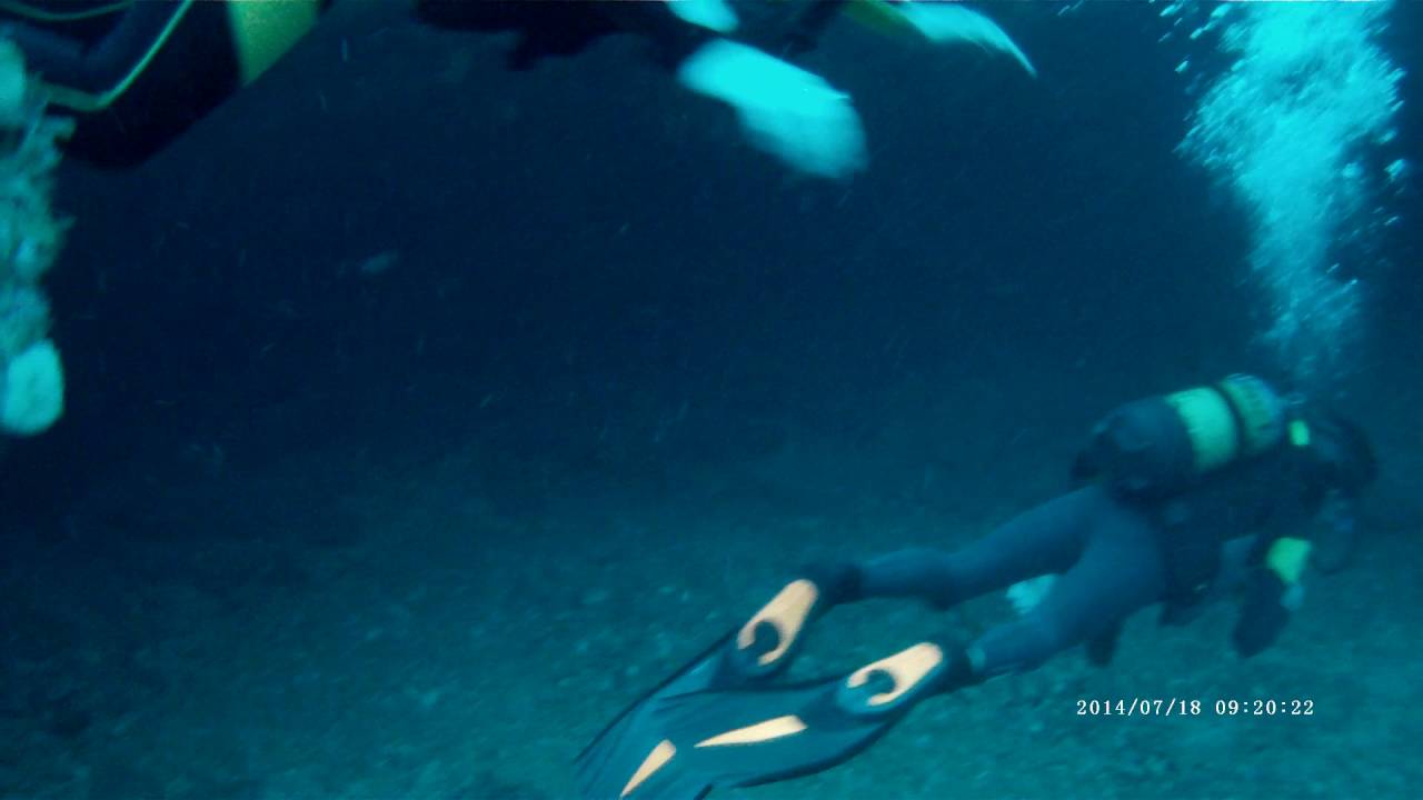 Scuba Diving Protea Banks
