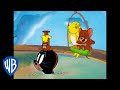 Tom & Jerry em Português | Brasil | Jerry e Seus Amigos | WB Kids