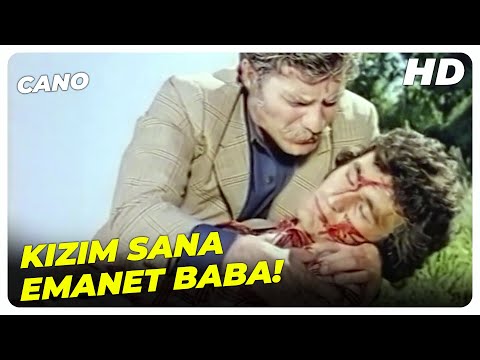 Kader, Kara Yazım Böyleymiş!