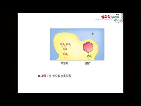 1장 생화학의 기초