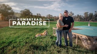 9 Years of 'Simple Living' Building a Homestead Paradise | PARAGRAPHIC