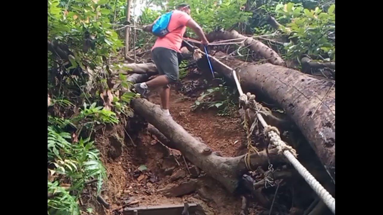 Bear Hill Hiking Bukit Beruang Youtube
