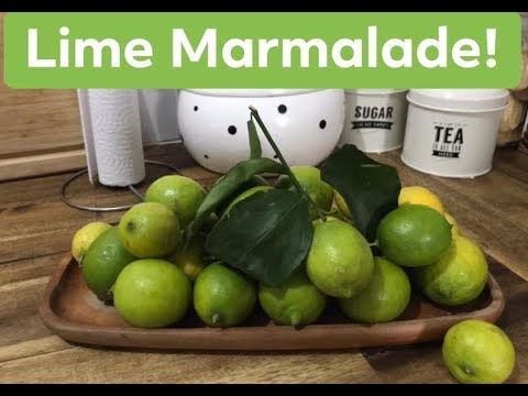 Video: Geicher „Marmeláda“(19 Fotografií): Popis „limetkovej Marmelády“a „berryovej Marmelády“. Tipy Na Pestovanie Hybridnej Heuchery