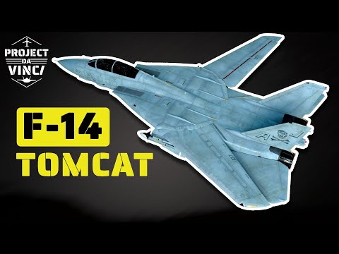 The F-14 Tomcat Was a Game Changer