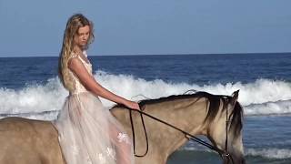 ~Searching for Lost Dreams~ Beach horse riding + Drone footage & Music by ADXY (Seth Johnson)
