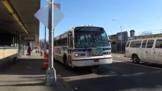 MTA NYCT Bus: Nova RTS #9534 on the Q83