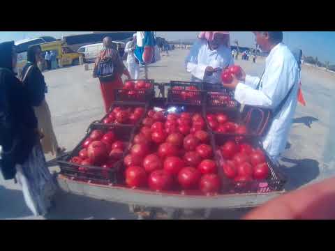 Buah Delima Merah