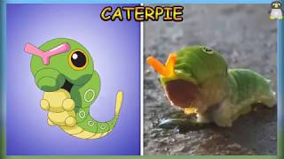 Pokemon In Real Life 2019   All Characters