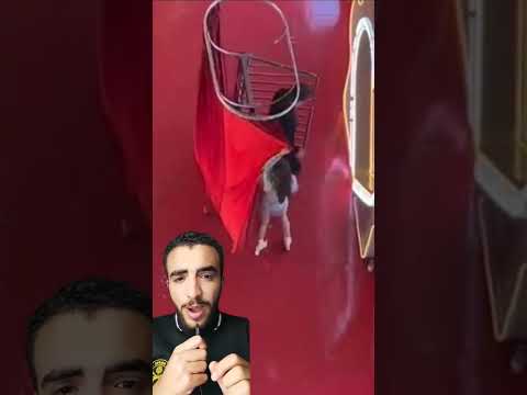 عندما ينقلب السحر علي الساحر